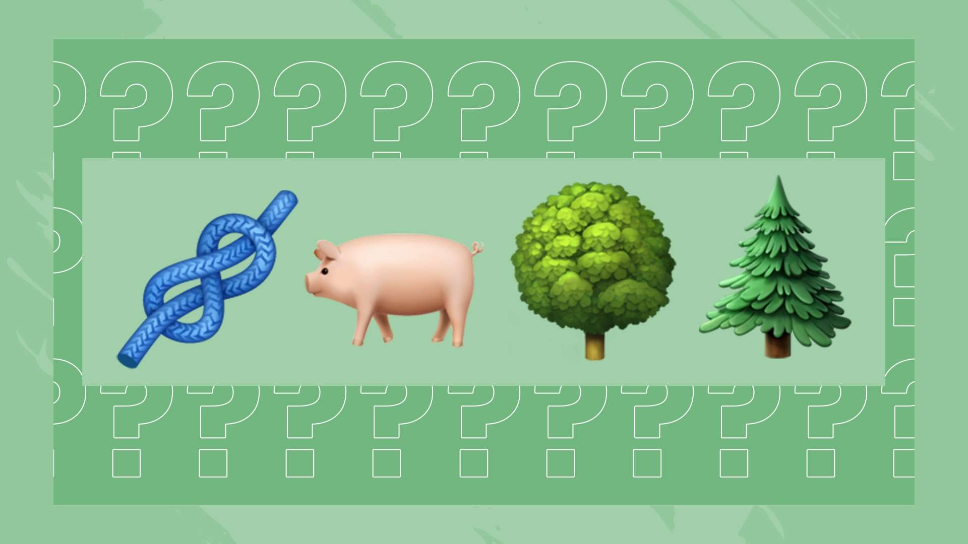 滕哈赫：芒特需更多合练时间以发挥对曼联的价值